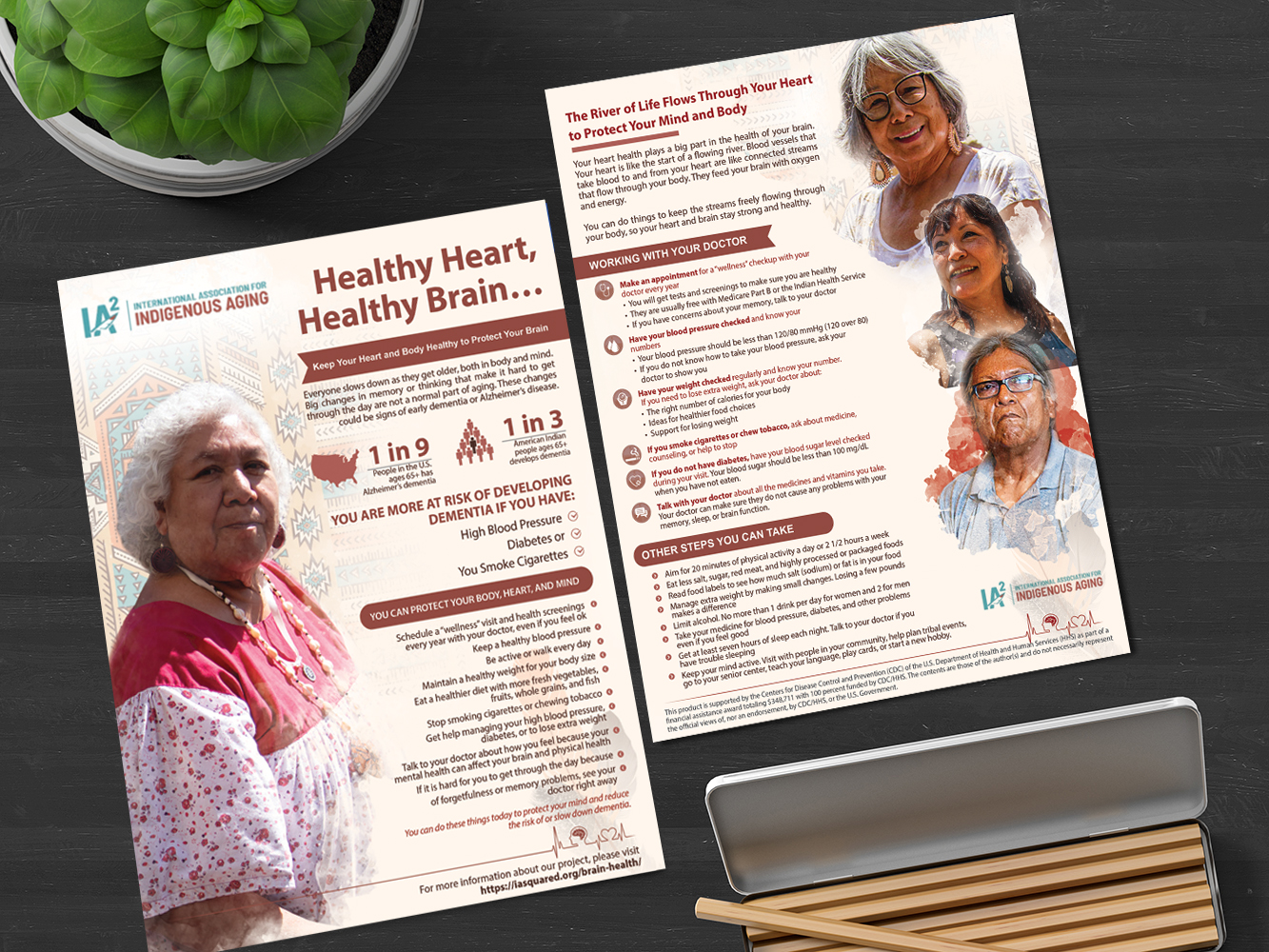 Design de Flyer par alex989 pour International Association for Indigenous Aging | Design #28926303
