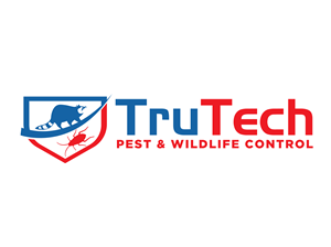 Logo Design by renderman