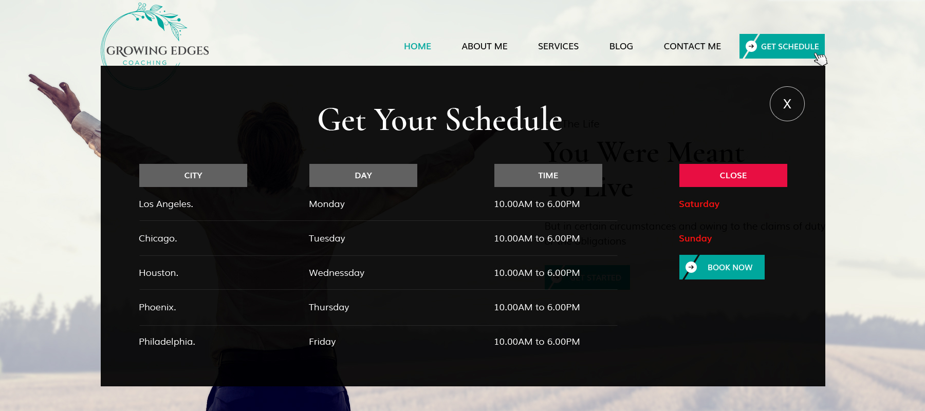 Web Design by sai.designer87 for this project | Design #28931106