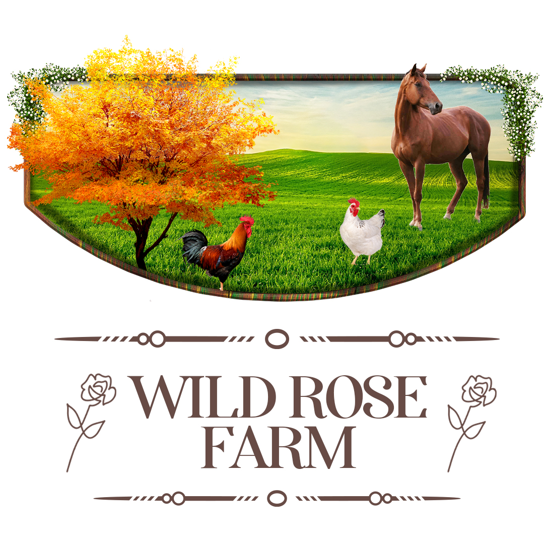 Graphic Design by Graphic Guy for this project | Design #29032068