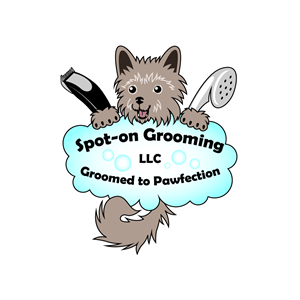 Logo Design by JohnnyCactus