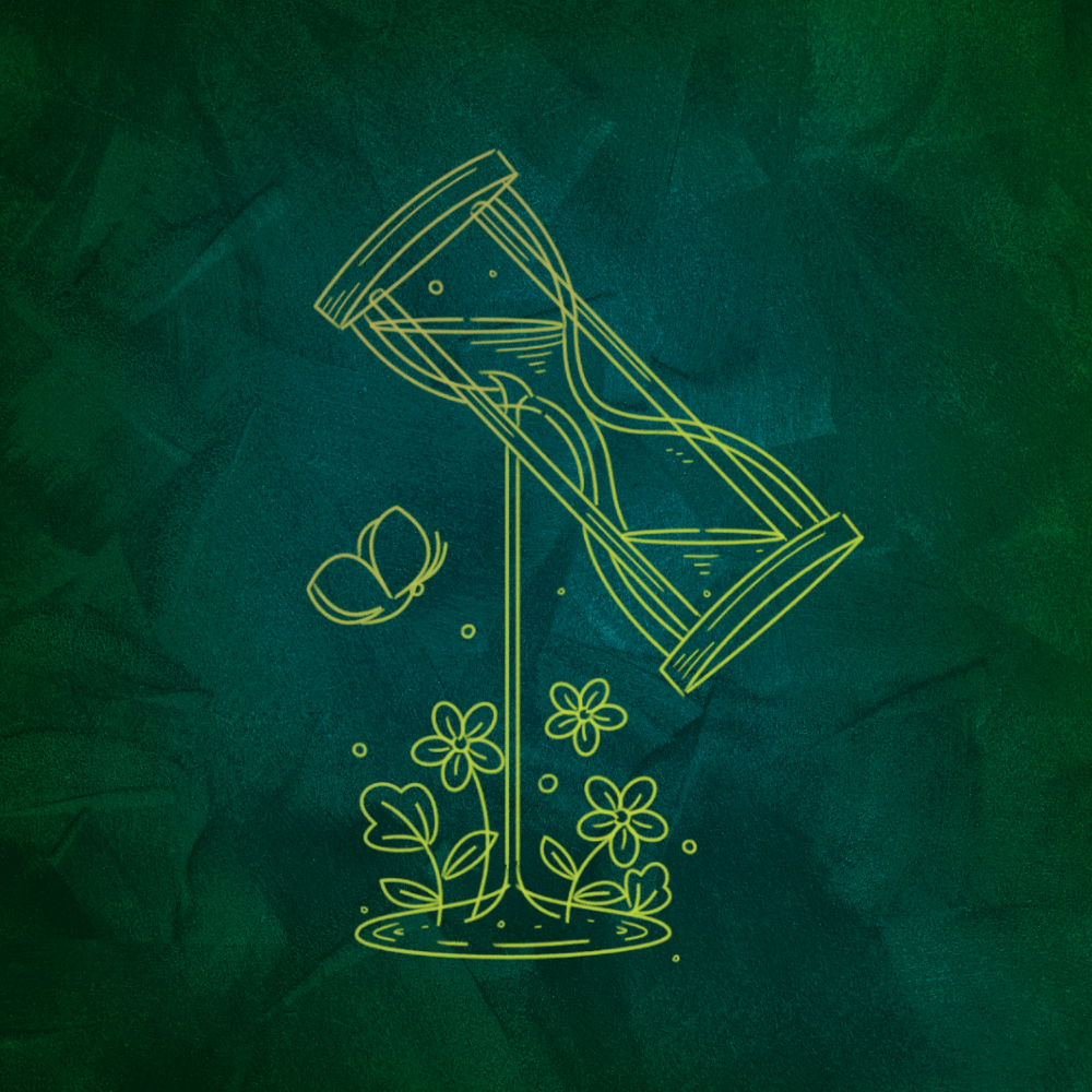 Illustration Design by juanramirez.on for this project | Design #28956077