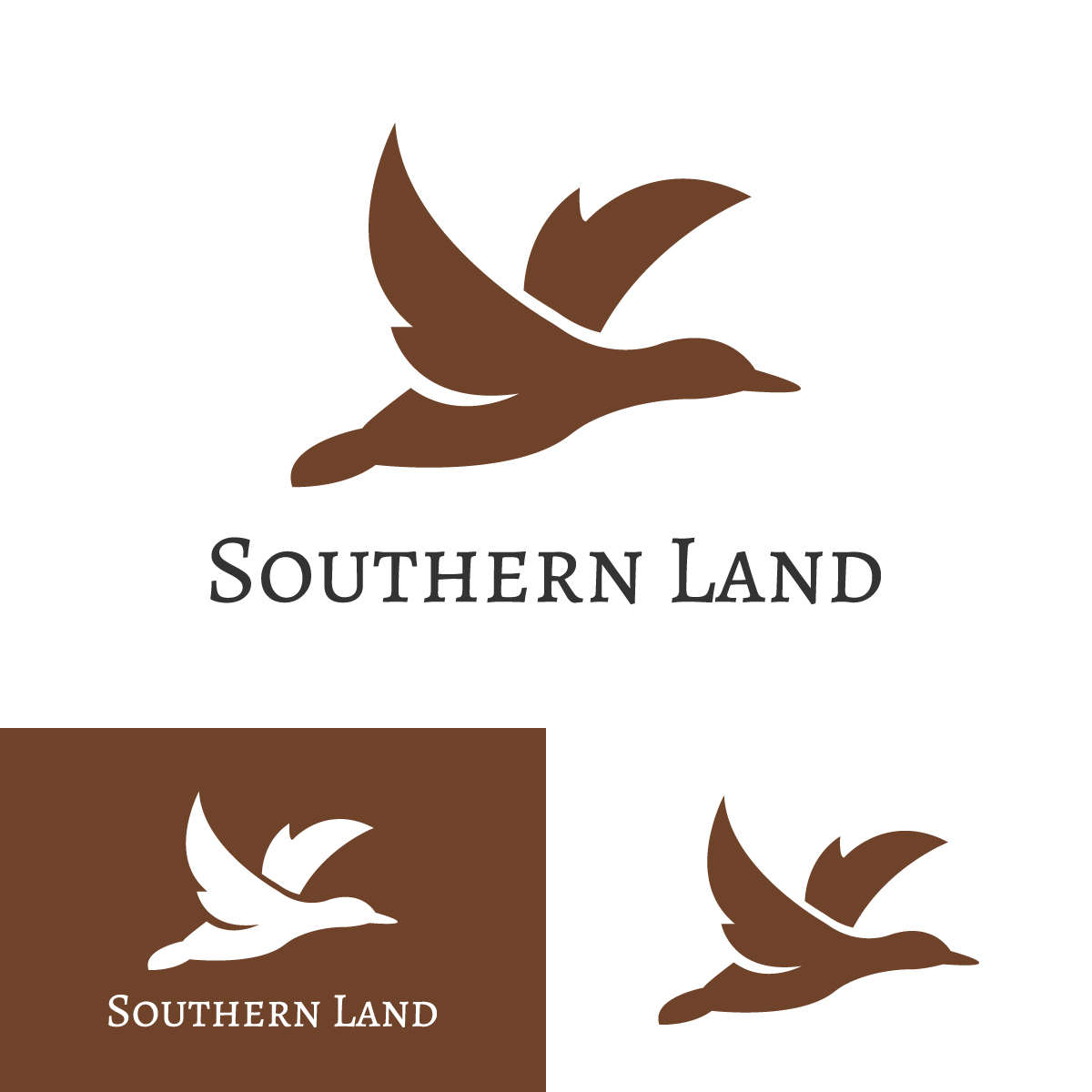 Logo Design by EvoGo Designers for this project | Design #28933911