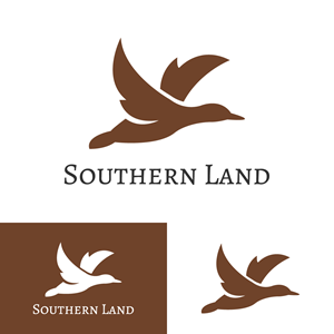 Diseño de Logo por EvoGo Designers para este proyecto | Diseño: #28933911