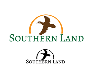 Logo Design by renderman