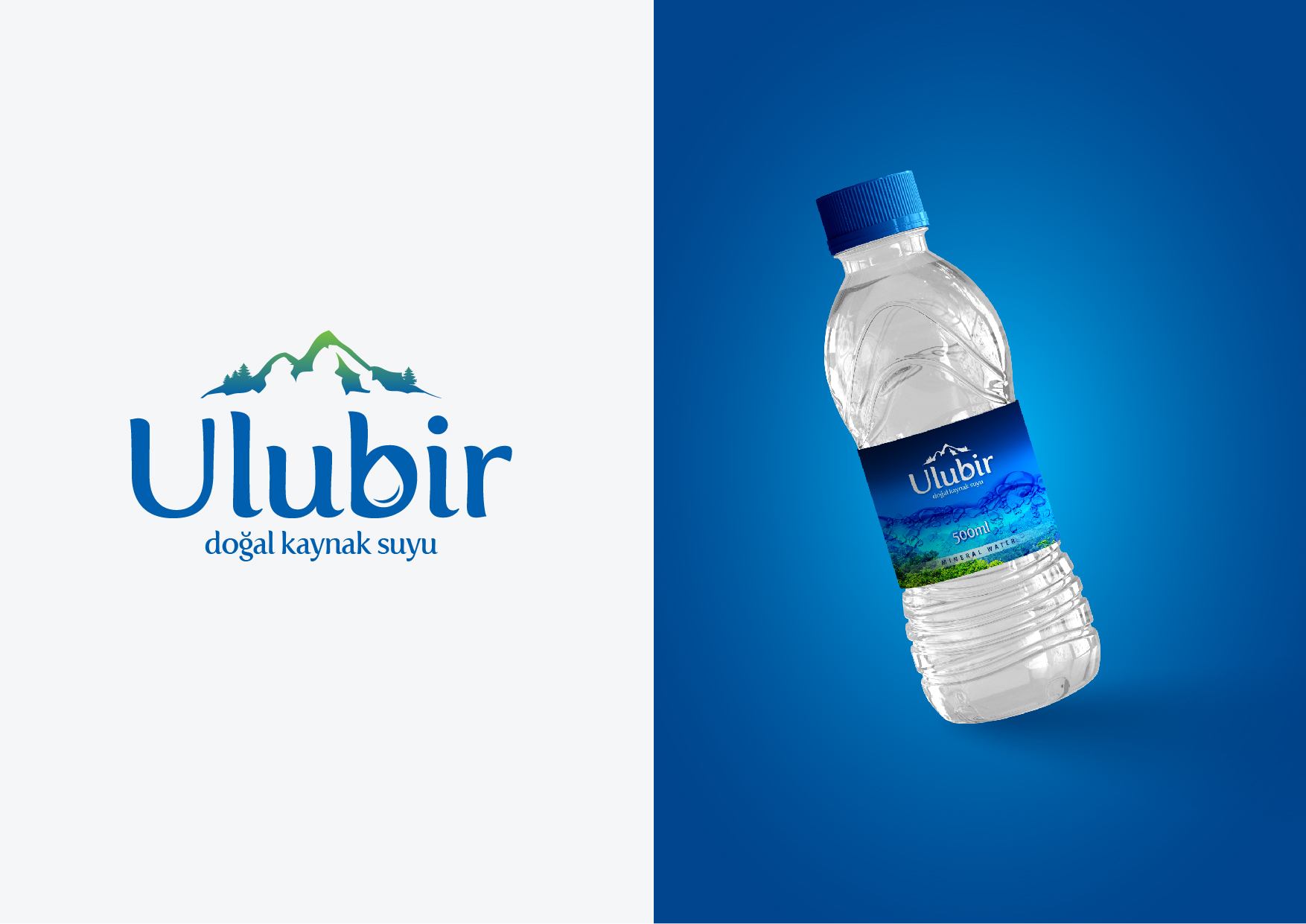 Logo-Design von Suren Amarathunga für dieses Projekt | Design #28947686