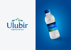 Logo Design by Suren Amarathunga for this project | Design #28947686