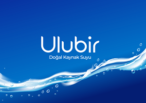 Logo Design by grrssn