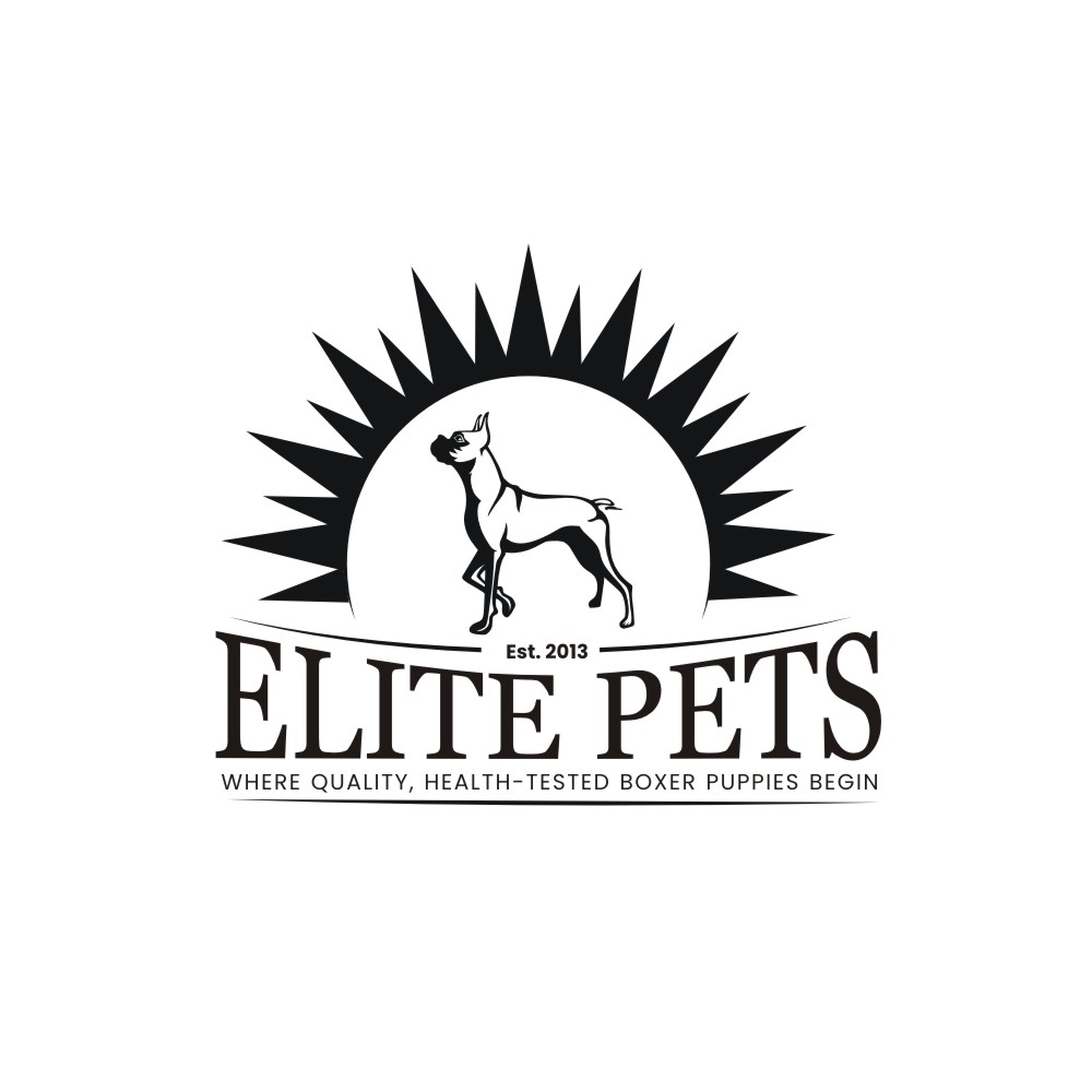 Logo Design by rgb01 for this project | Design #28969820