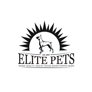 Logo Design by rgb01