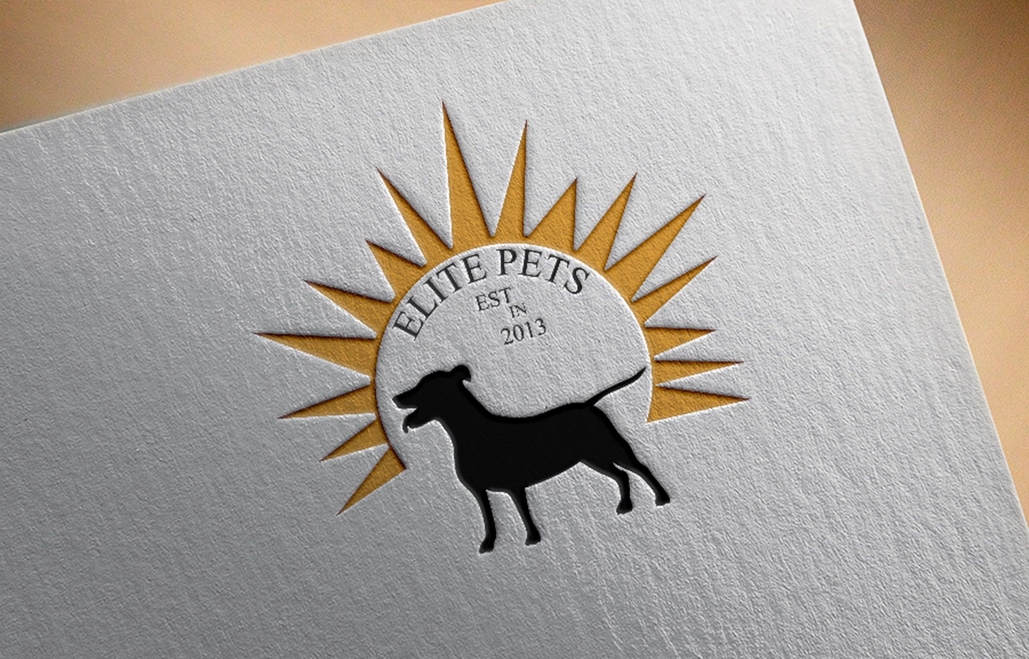 Logo-Design von Tamim_iqbal für dieses Projekt | Design #28939556