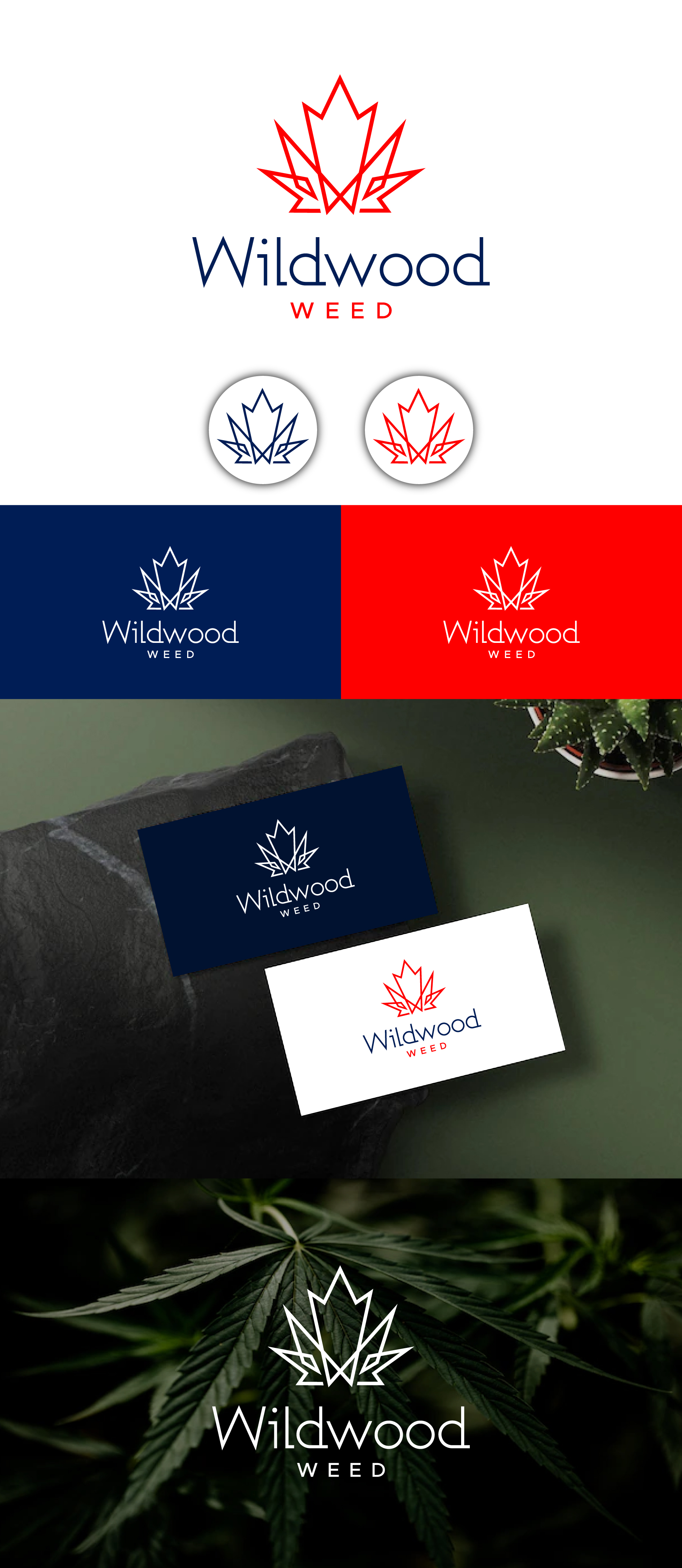 Diseño de Logo por debdesign para este proyecto | Diseño #28935668