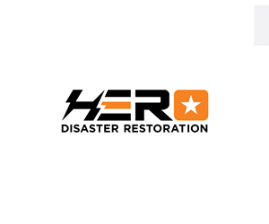 Logo Design by Ansh Design for this project | Design: #28944347