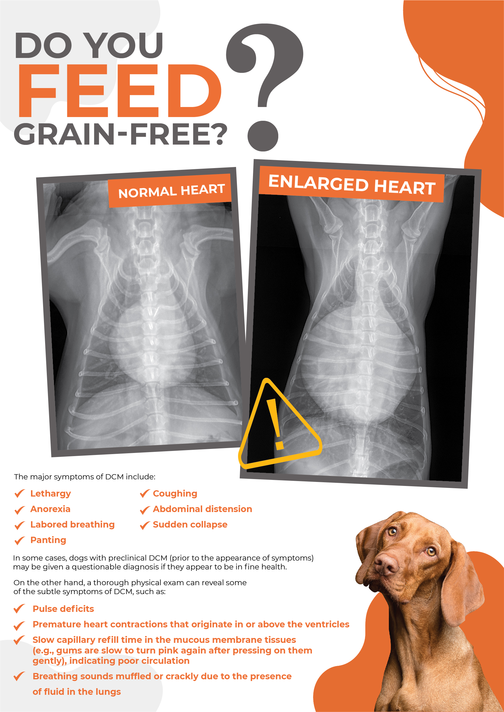 Design Graphique par 3Guys pour Eco Deco Pet Hospital | Design #28964662