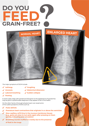 Design Graphique par 3Guys pour Eco Deco Pet Hospital | Design : #28964662