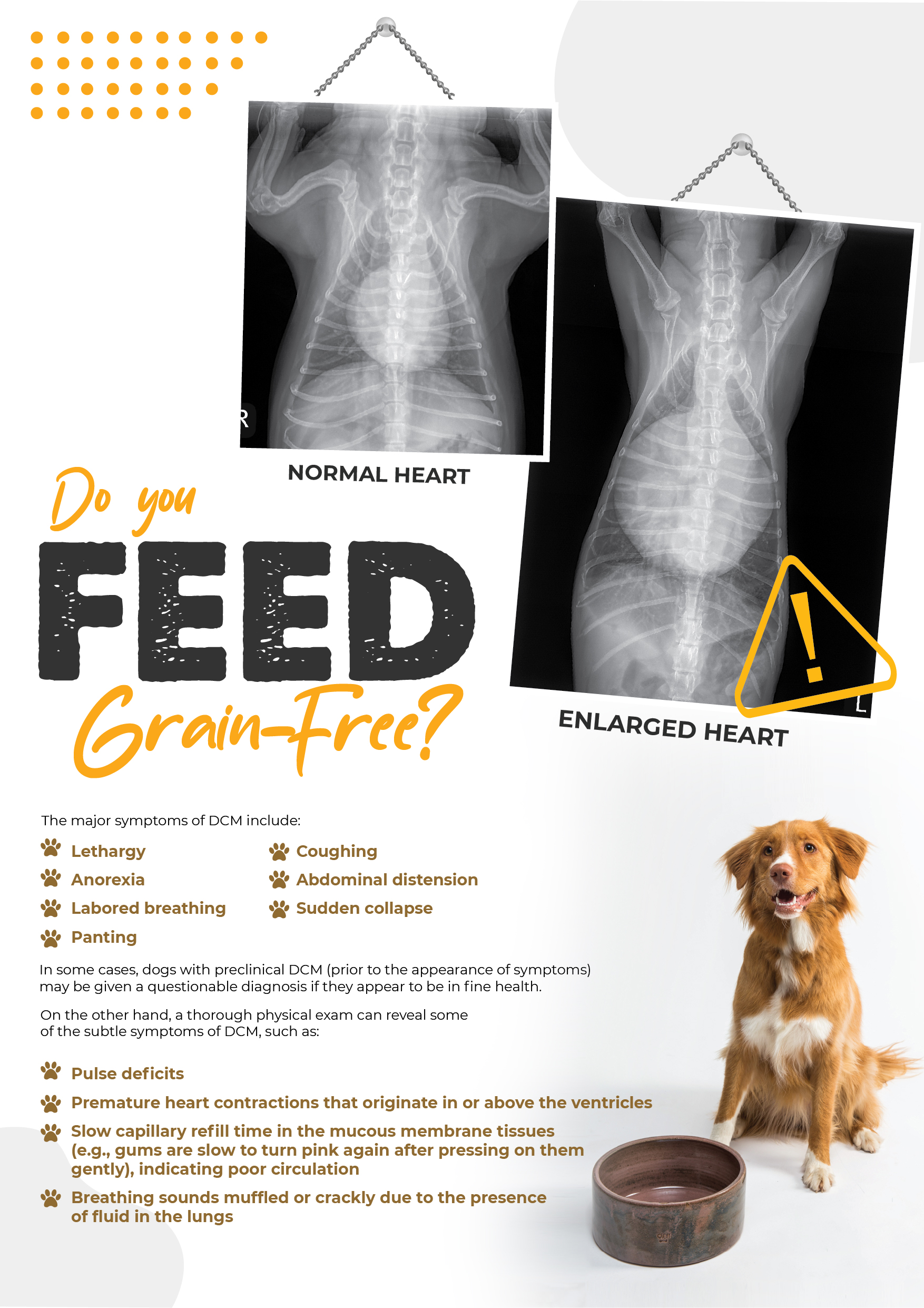 Design Graphique par 3Guys pour Eco Deco Pet Hospital | Design #28964663