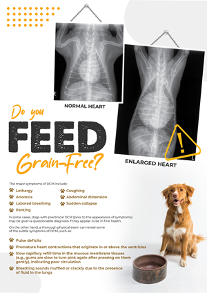 Design Graphique par 3Guys pour Eco Deco Pet Hospital | Design : #28964663