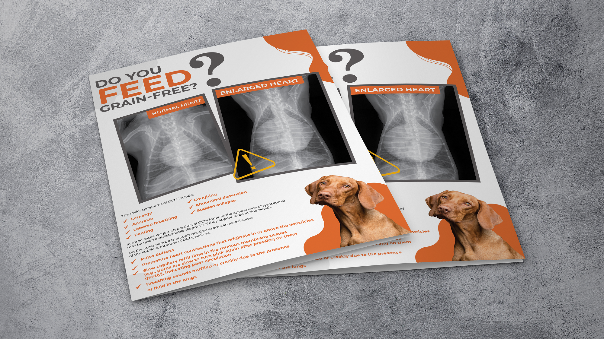 Design Graphique par 3Guys pour Eco Deco Pet Hospital | Design #28964664