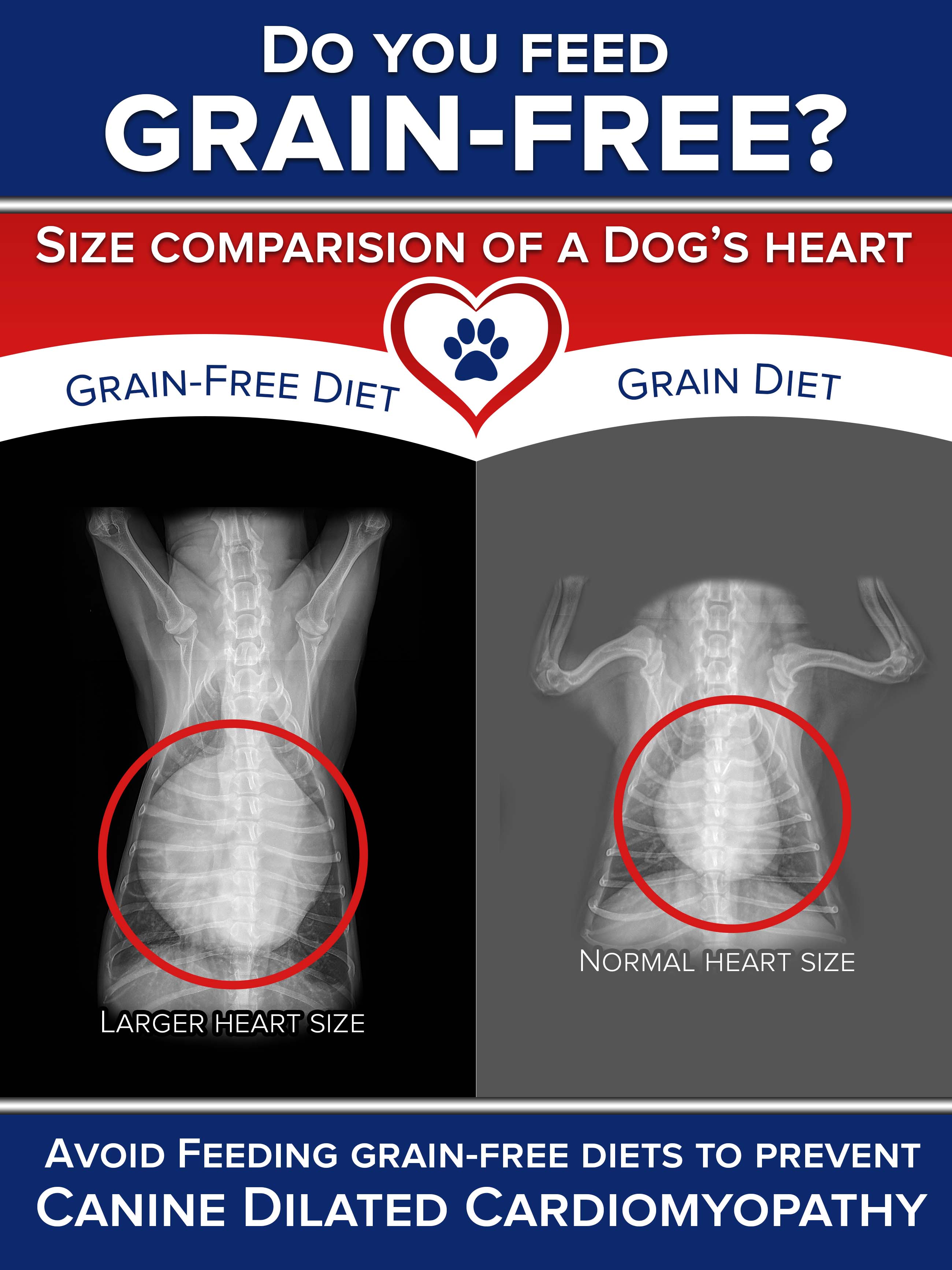 Graphic Design by Rickyy for Eco Deco Pet Hospital | Design #28969646