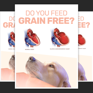 Graphic Design by aj for Eco Deco Pet Hospital | Design #28942094