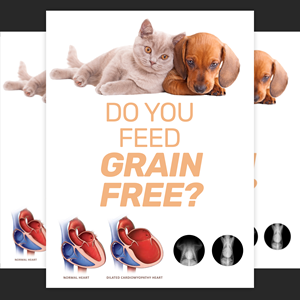 Design Graphique par aj pour Eco Deco Pet Hospital | Design : #28944625
