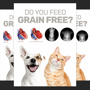 Design Graphique par aj pour Eco Deco Pet Hospital | Design : #28944626