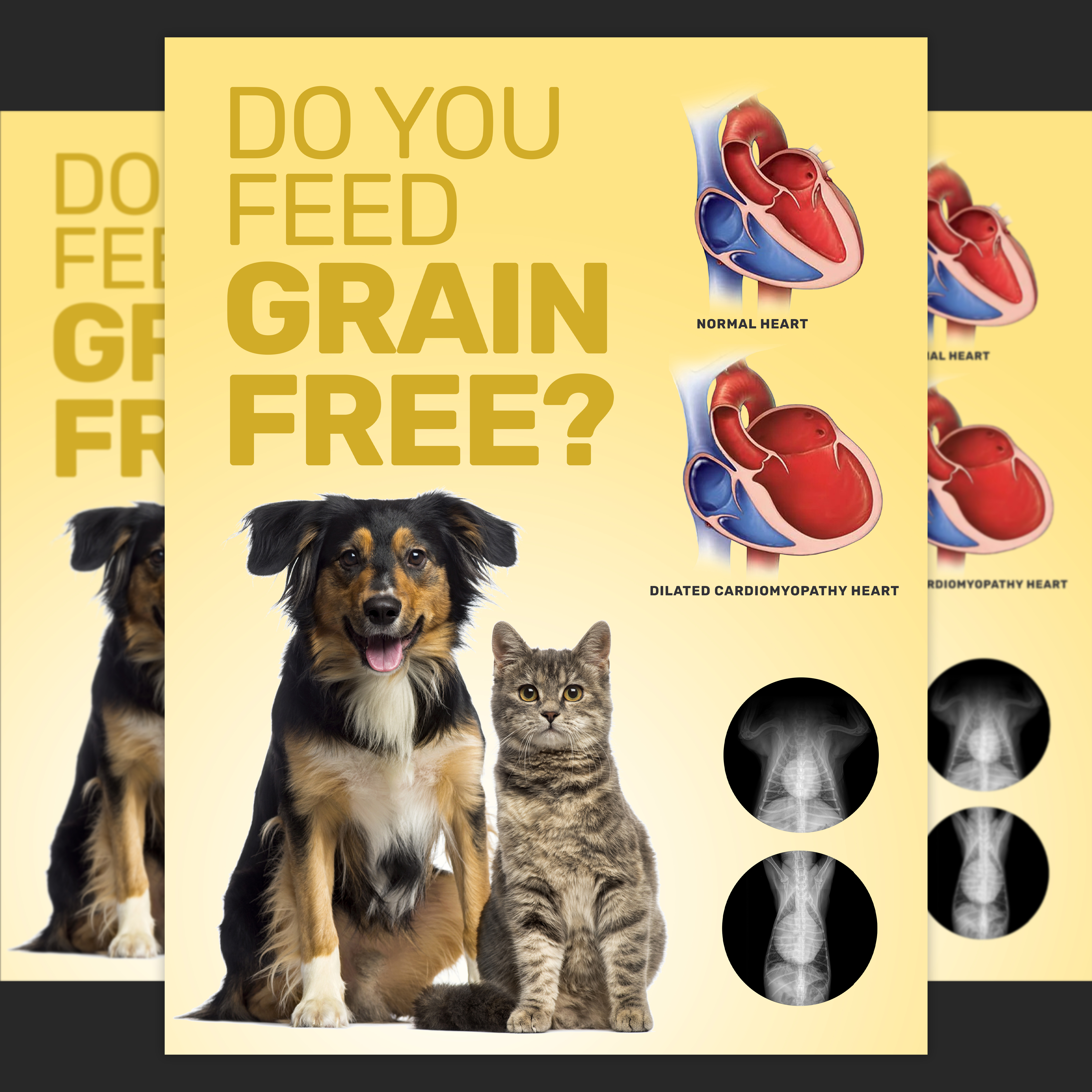 Design Graphique par aj pour Eco Deco Pet Hospital | Design #28952650