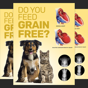Design Graphique par aj pour Eco Deco Pet Hospital | Design : #28952650