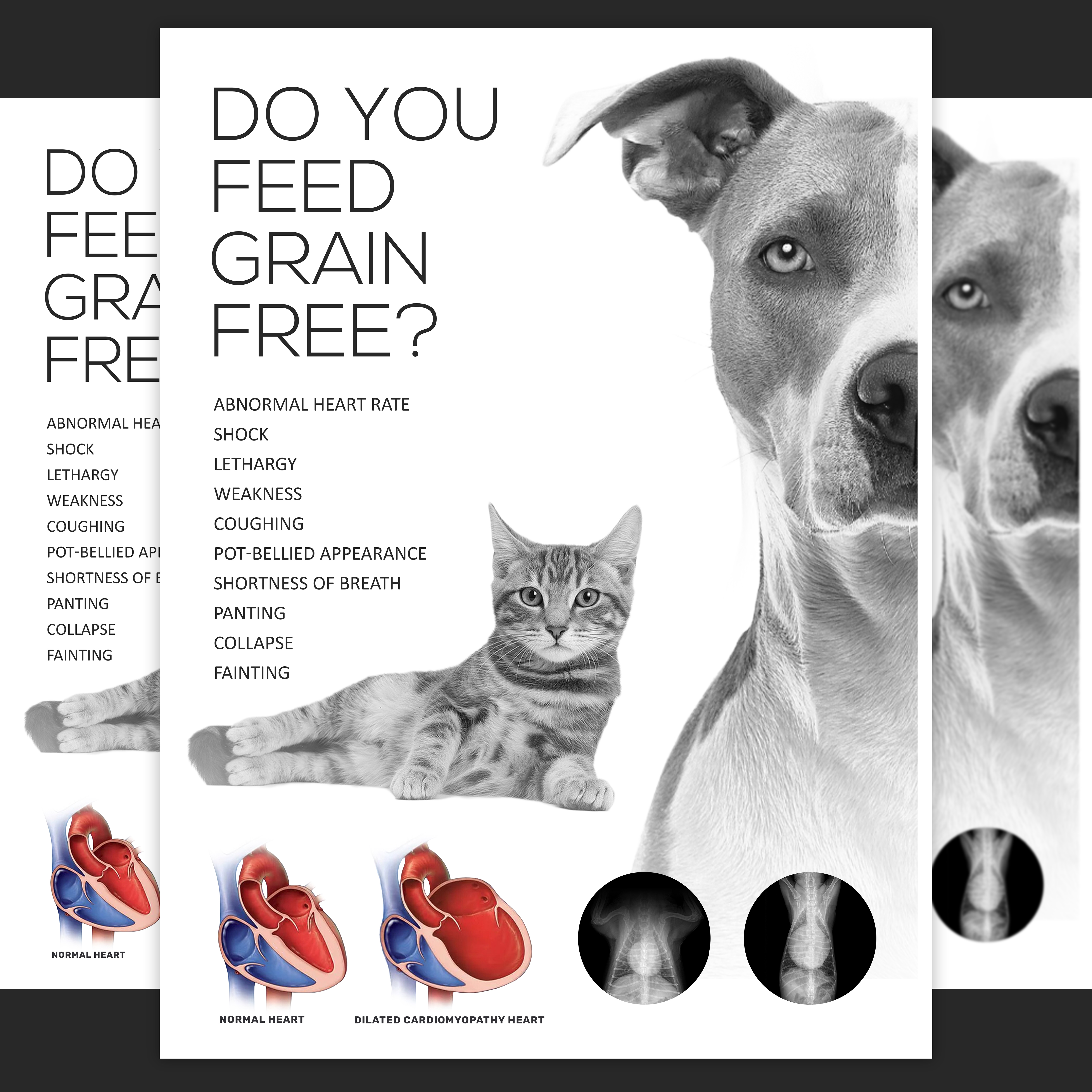 Design Graphique par aj pour Eco Deco Pet Hospital | Design #28967275