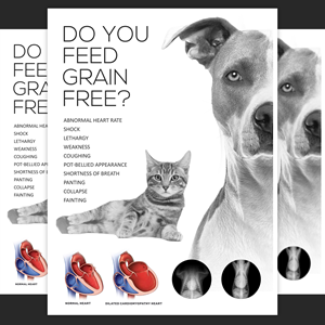 Design Graphique par aj pour Eco Deco Pet Hospital | Design : #28967275