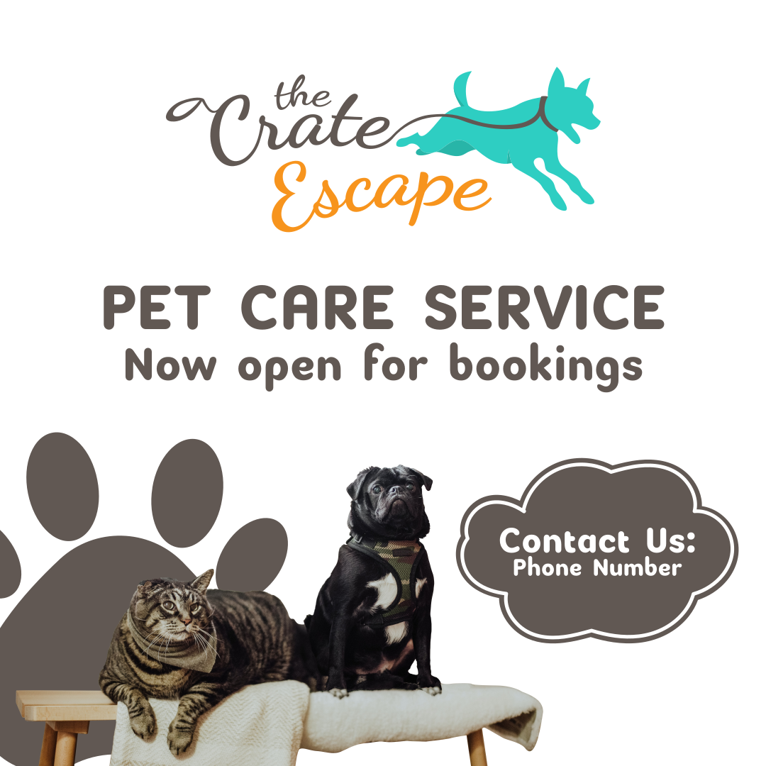 Design de Logo par JohnnyCactus pour ce projet | Design #28971887