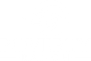 Logo Design by AnteMeridiem for this project | Design: #28991534