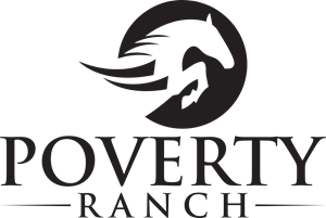 Logo Design by AnteMeridiem for this project | Design: #28991538