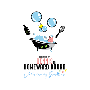 Logo Design by Appy Design