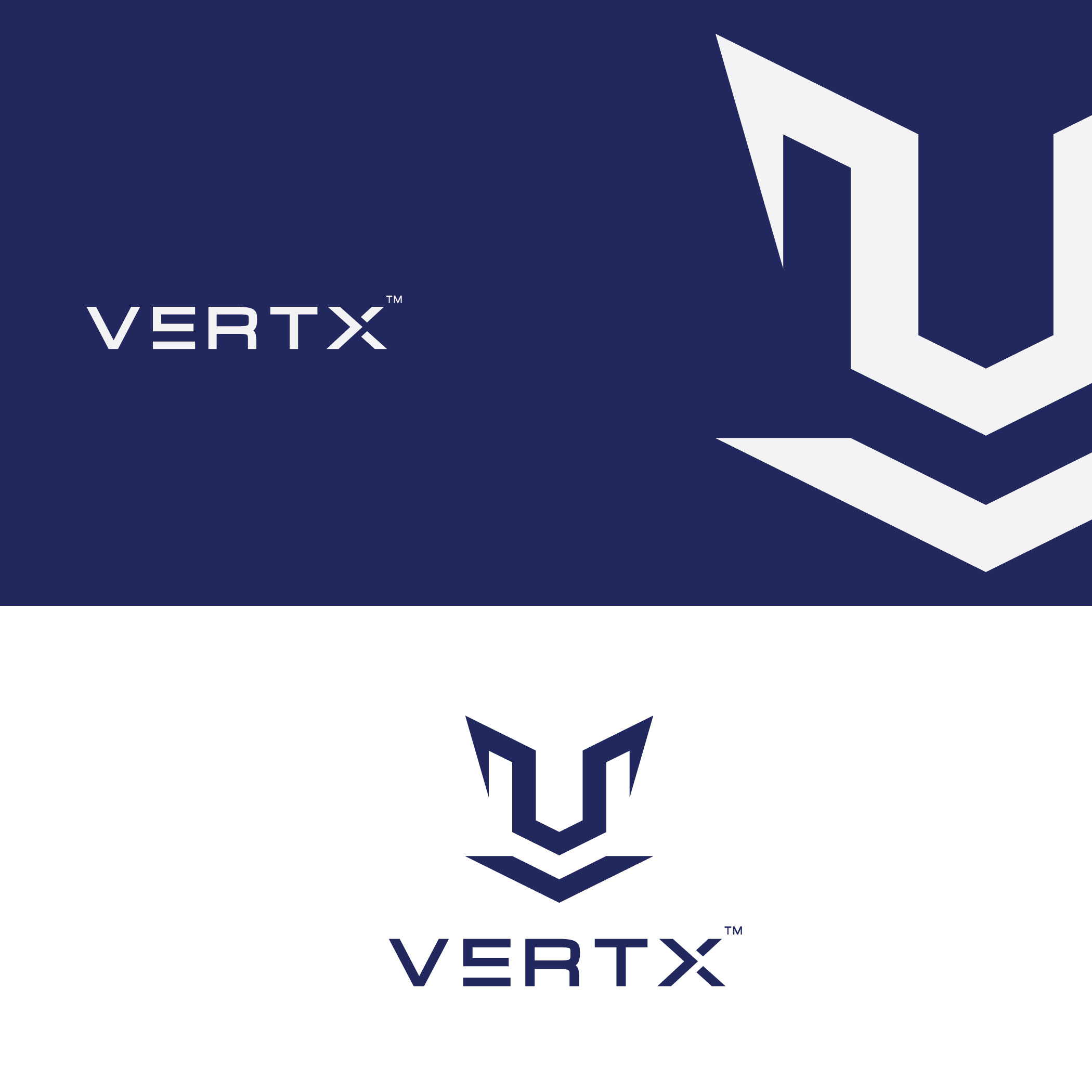 Logo Design by ILLUSTRATOR PRO for Vertx Technology Partners | Design #28965606
