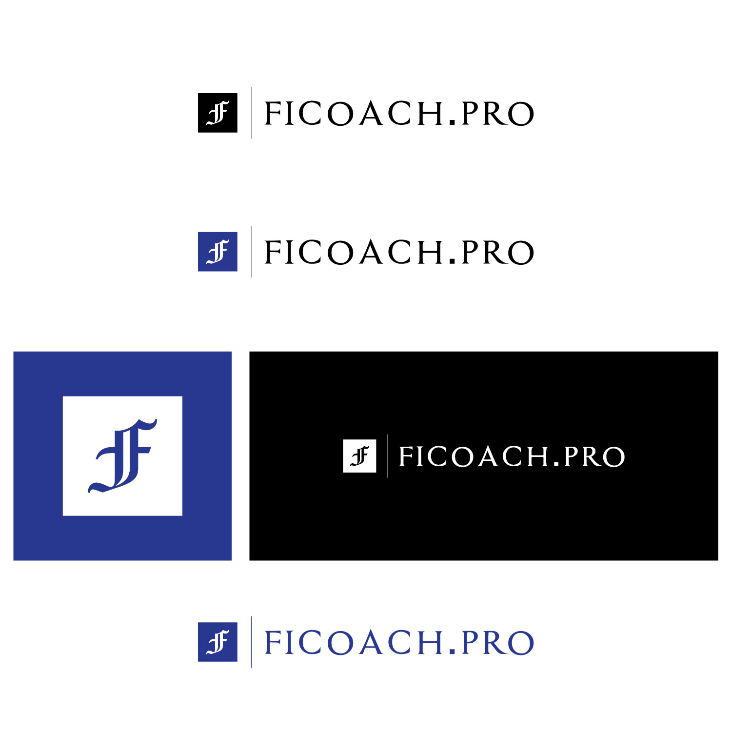 Logo Design by Maxo-Biz for Yinyangweb OÜ | Design #28963329