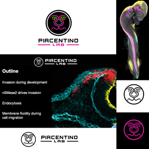 Logo-Design von Anton für Piacentino Lab | Design #28965588