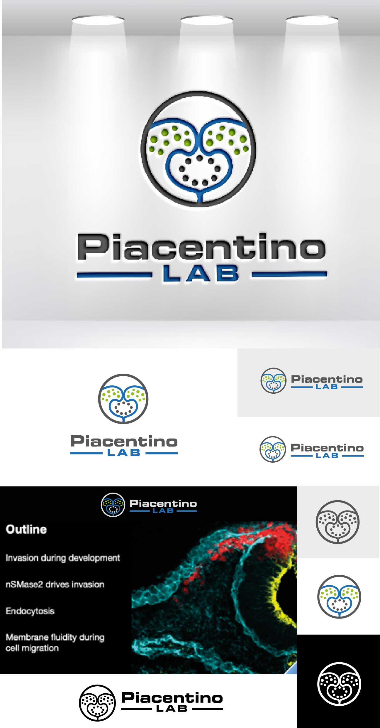 Logo Design by Anton for Piacentino Lab | Design #28971140