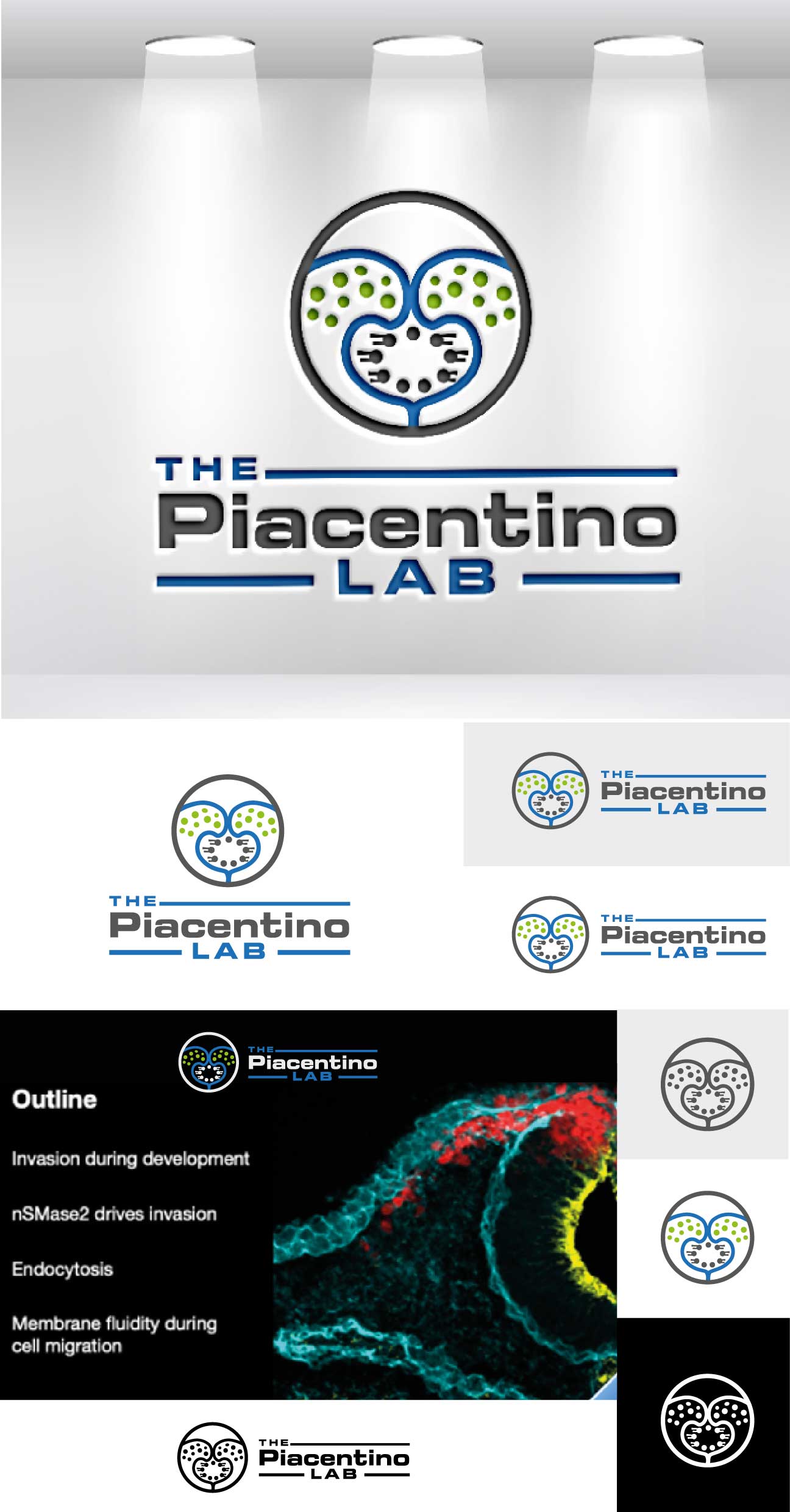 Logo Design by Anton for Piacentino Lab | Design #28978570