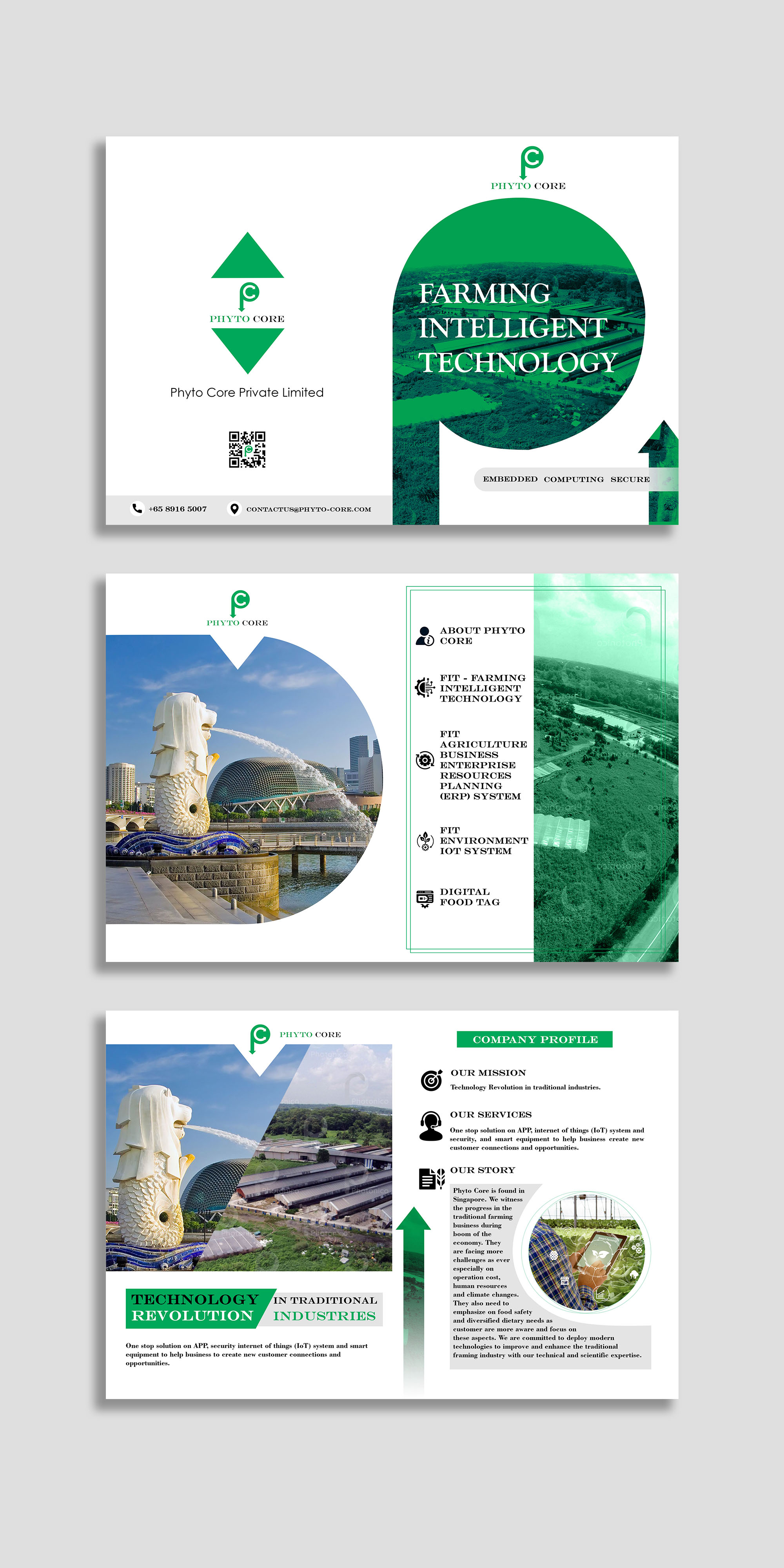 Diseño de Flyer por Design Motion para este proyecto | Diseño #28971177