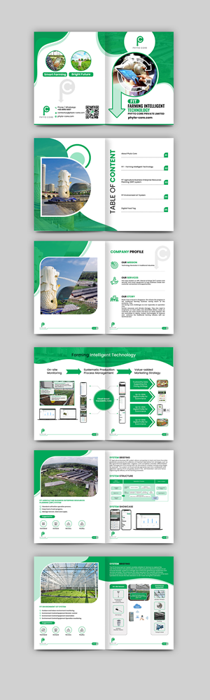 Business brochure/booklet design | Design de Flyer par debdesign