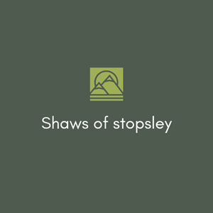 Logo Design by SarahBasit12