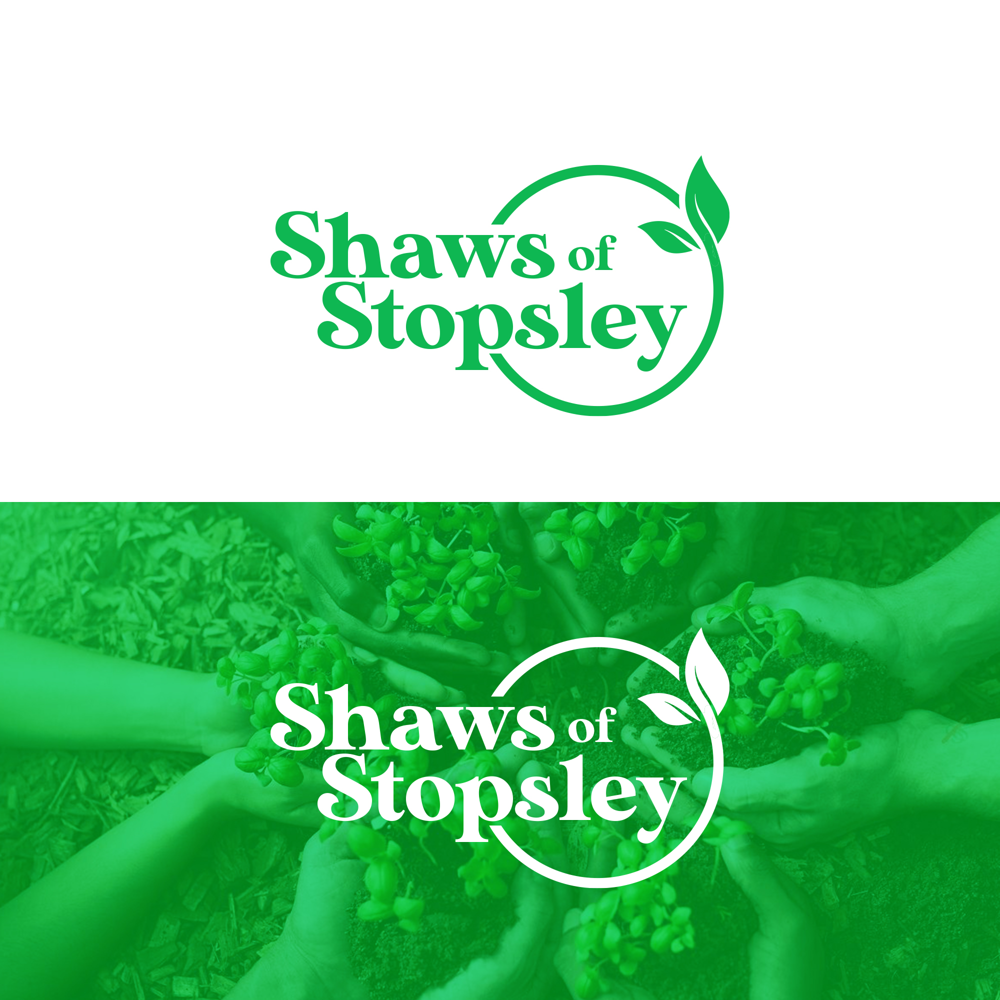 Diseño de Logo por CreativeGwen™ para Shaws of Stopsley | Diseño #29000417