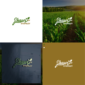 Logo Design by 3Guys for Shaws of Stopsley | Design: #28969354