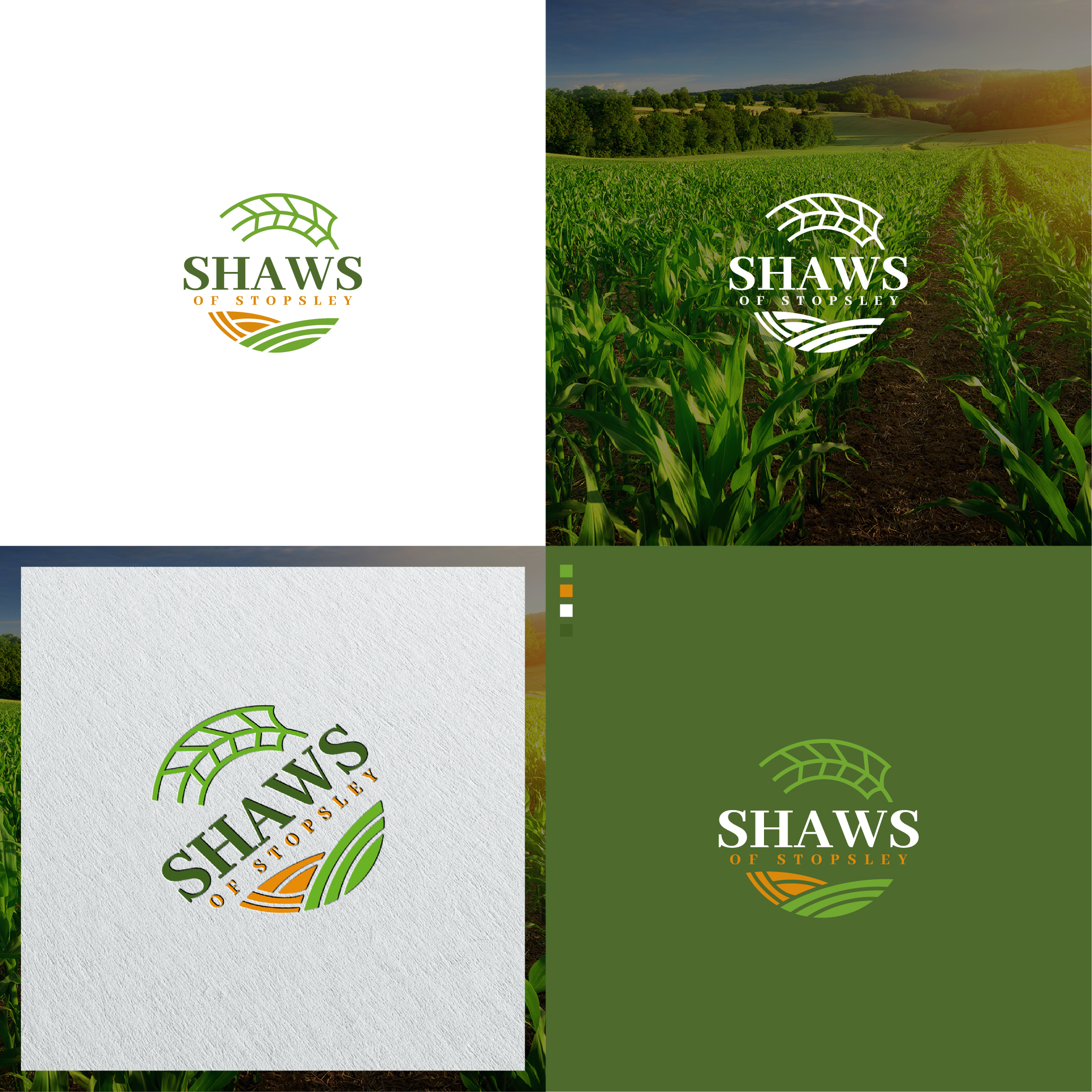 Logo Design by 3Guys for Shaws of Stopsley | Design #28969357