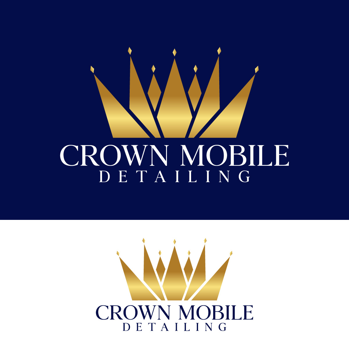 Logo Design by fly  design for this project | Design #28968950