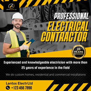 Lantos Electric Ltd | Facebook-Design von Prasadsu