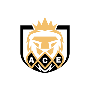 Logo Design by IreDesign