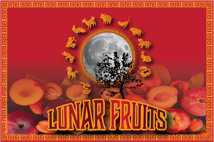 Lunar Fruits - design a brand for packaging (boxes and punnets of fruit) | Design Emballage par Vyacheslav65
