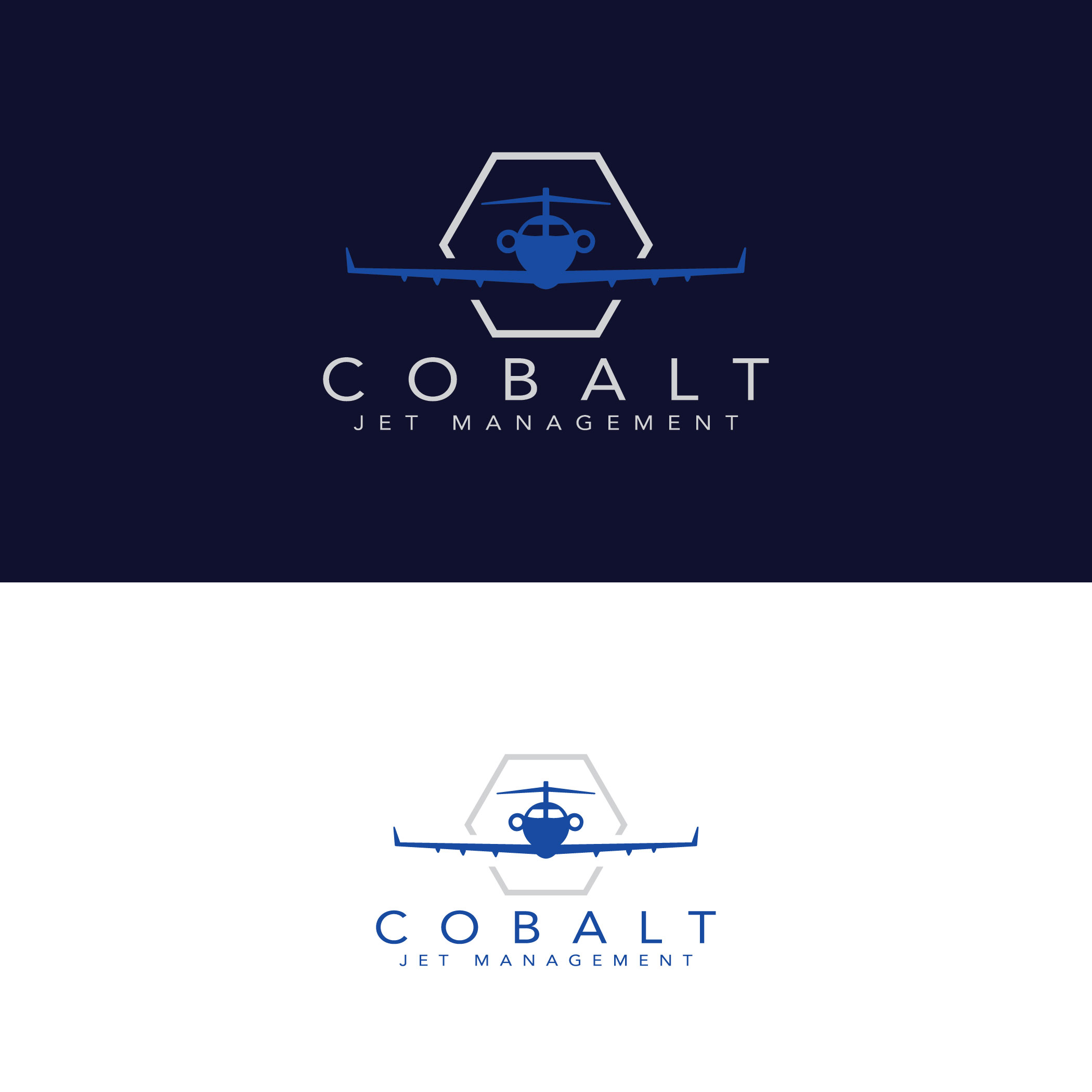 Logo Design by ILLUSTRATOR PRO for this project | Design #28990749